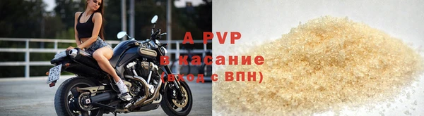 индика Абинск