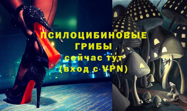 стафф Алексеевка