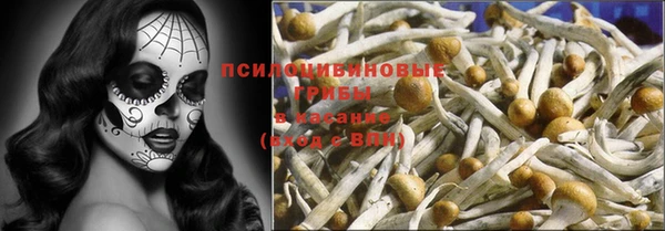 ALPHA PVP Алексин
