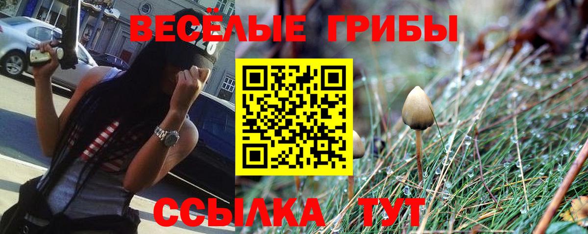 Галлюциногенные грибы прущие грибы Абакан