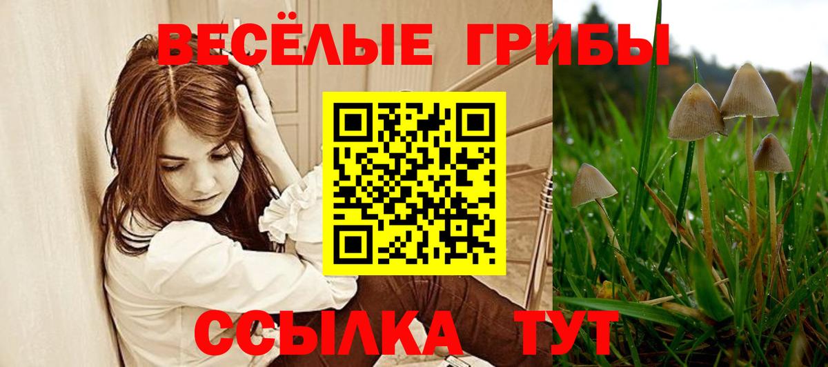 Абакан  где купить наркоту  Вход с VPN  Псилоцибиновые грибы Magic Shrooms 