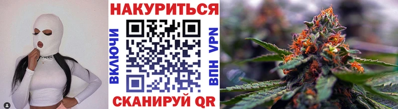 где купить наркоту  omg ССЫЛКА  Канабис SATIVA & INDICA  Абакан 